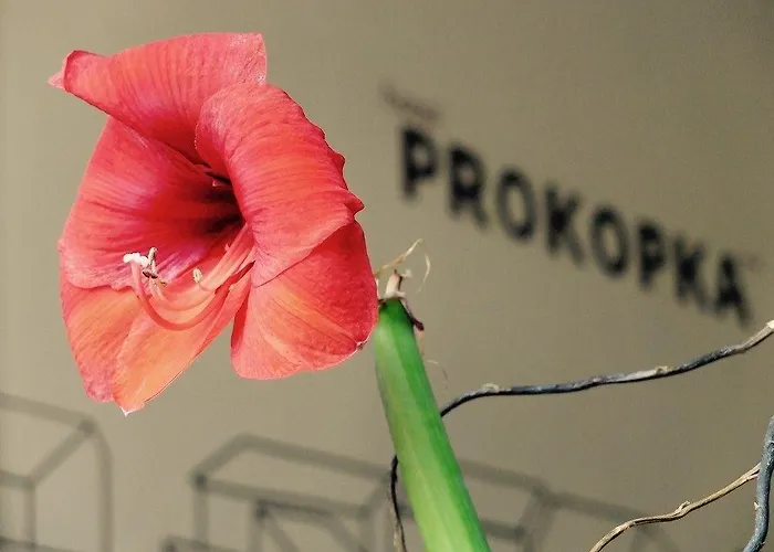 Prokopka 2* Прага