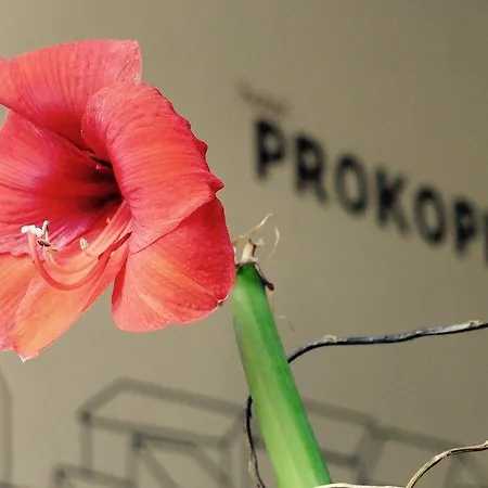 Prokopka 2* Praga